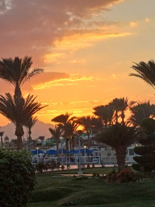 Gartenanlage Pickalbatros Dana Beach Resort - Hurghada