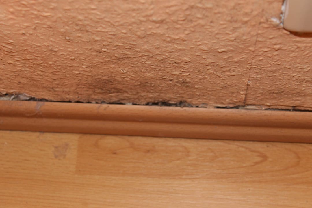 Schimmelbefall   Ferien Hotel Bad Malente