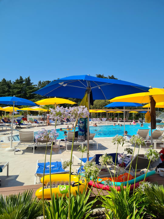 Pool Valamar Parentino Hotel