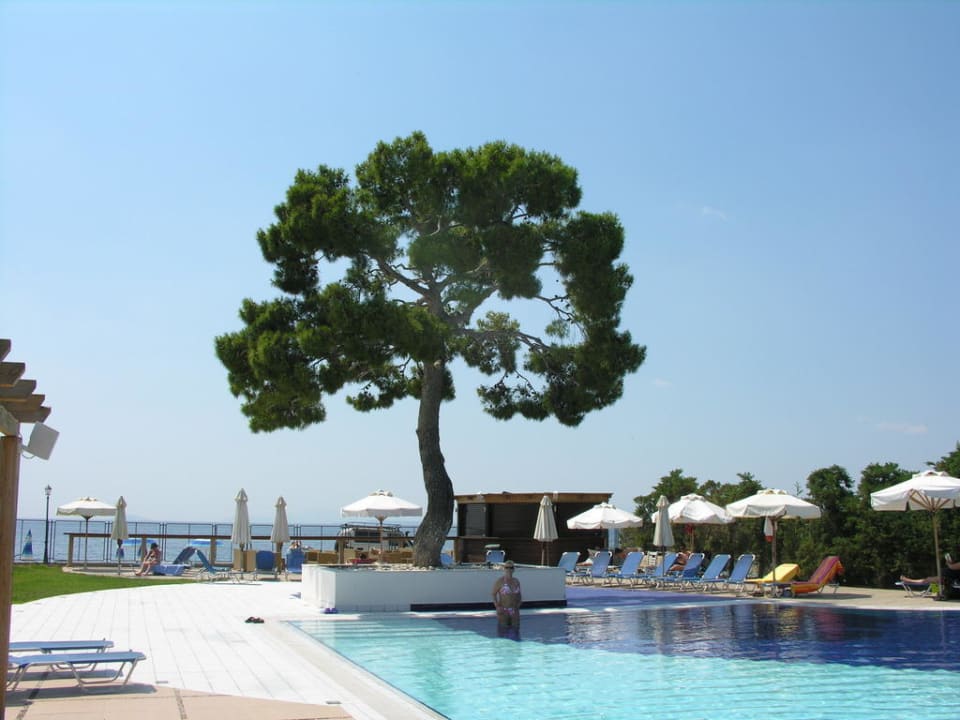 Basen ze słoną wodą  Hotel Kinetta Beach