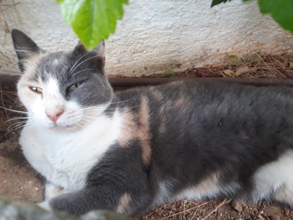 Sonstiges Creta Maris Resort