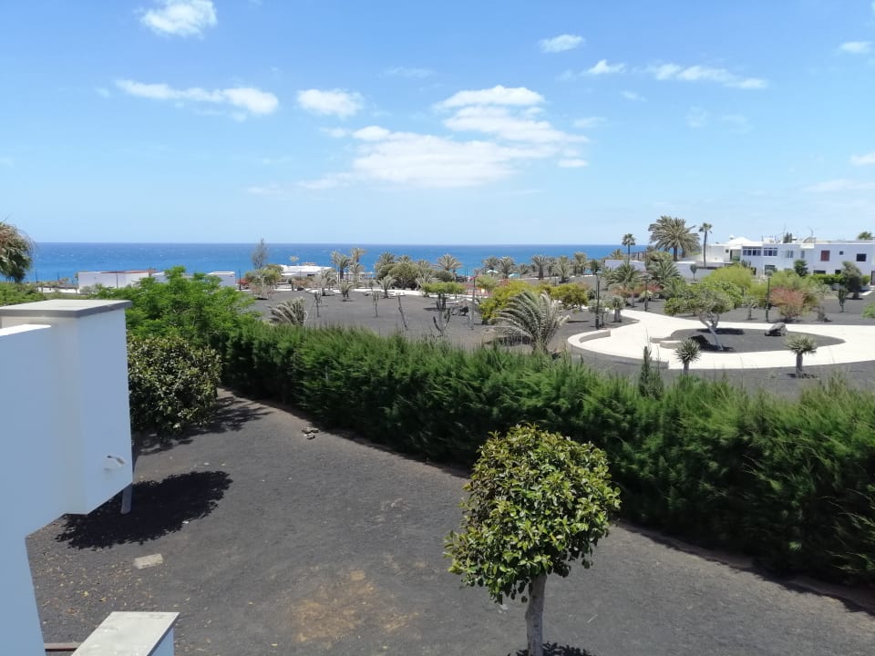 Ausblick allsun App.-Hotel Albatros