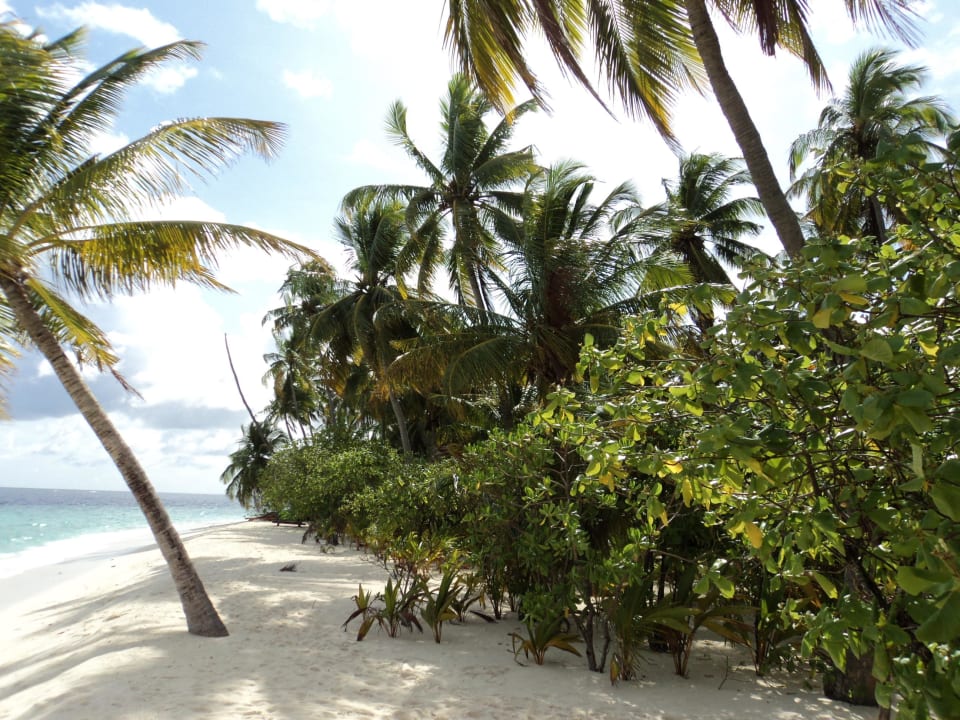 Strandseite der Doppelbungalows Filitheyo Island Resort