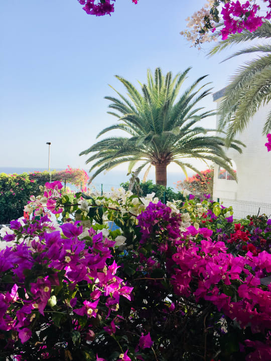 Ausblick Hotel San Nicolas