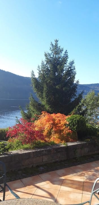 Ausblick Treschers Schwarzwald Hotel