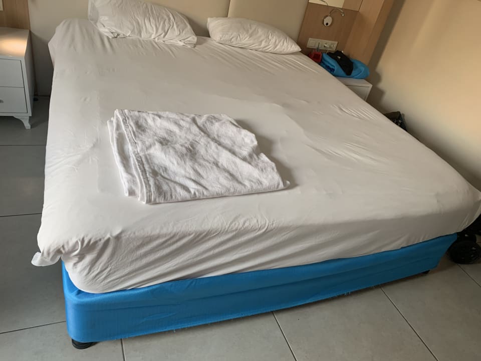 Zimmer AQI Pegasos World