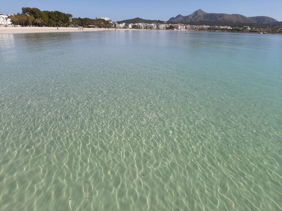 Strand Bahía de Alcúdia Hotel & Spa