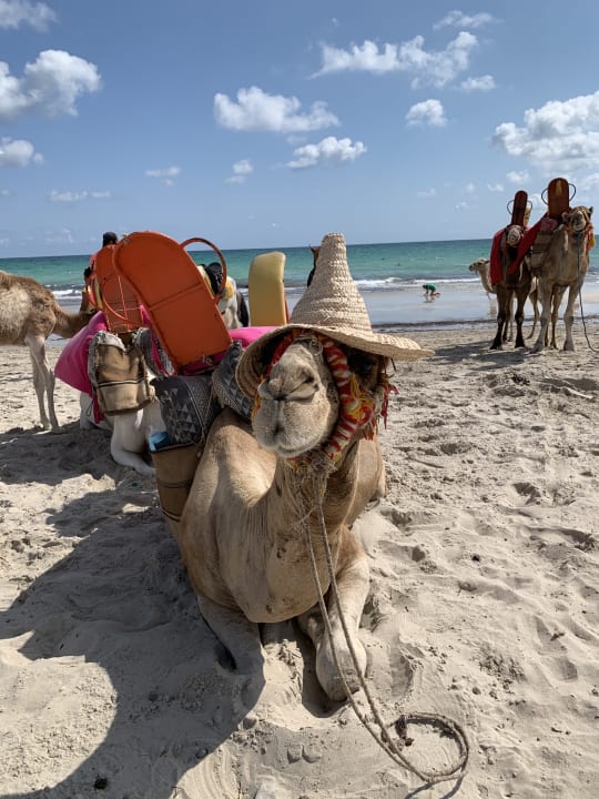 Strand TUI MAGIC LIFE Penelope Beach