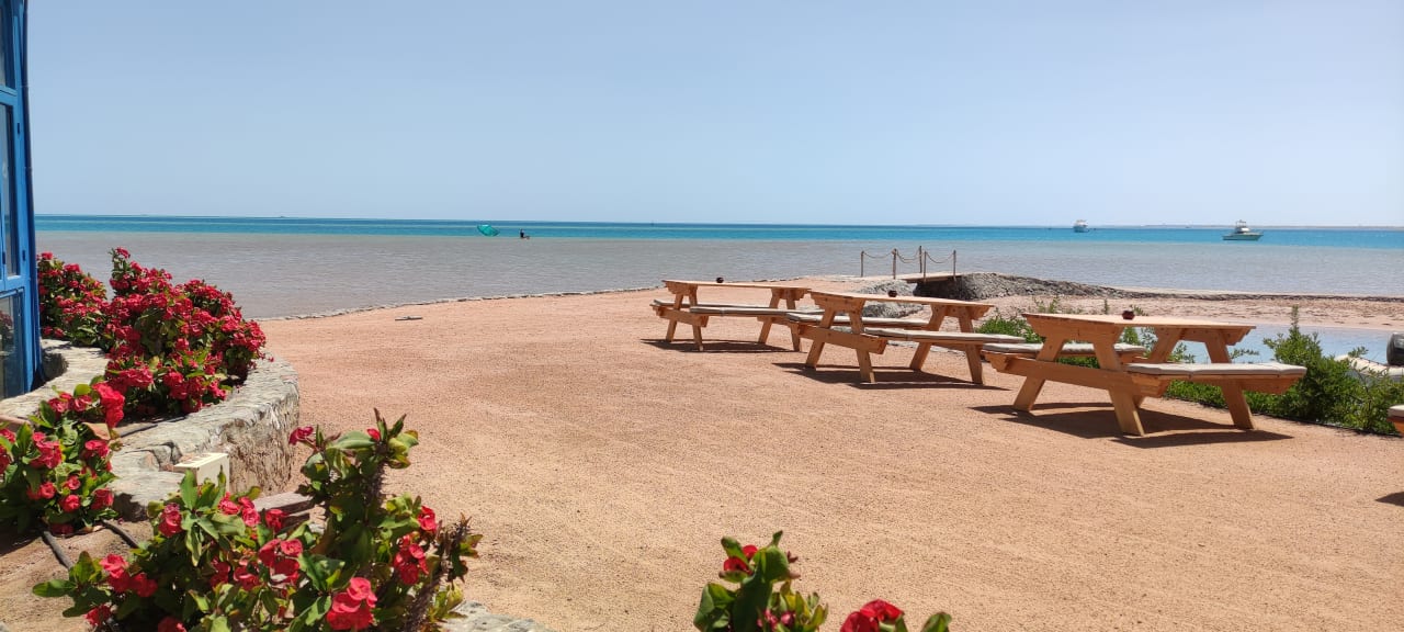 Gastro Club Paradisio El Gouna, Red Sea
