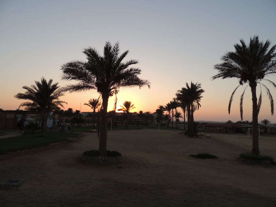 Gartenanlage Three Corners Sea Beach Resort