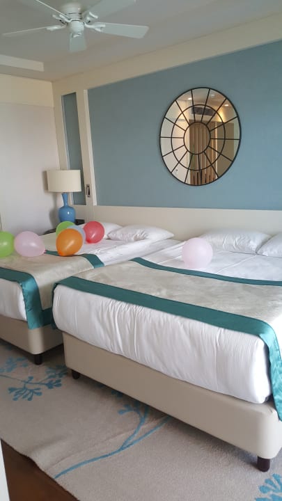 Zimmer Papillon Zeugma Relaxury