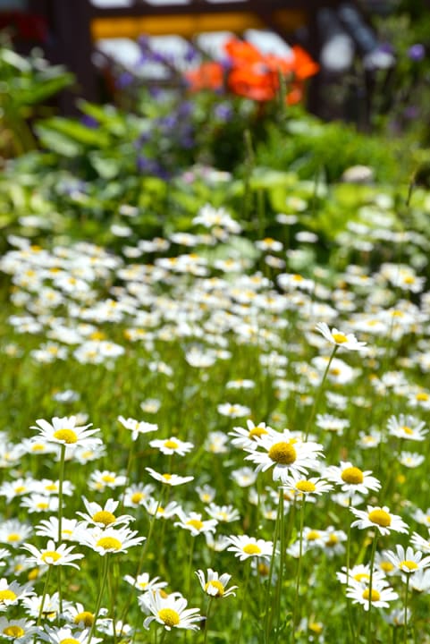 Zimmer Gästehaus Wimmer