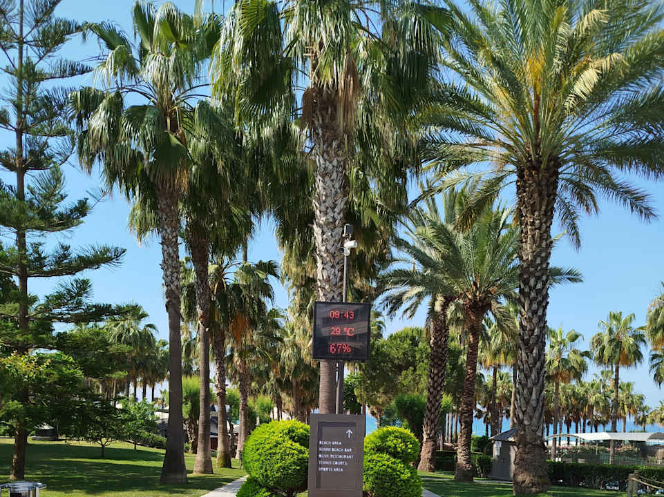 Gartenanlage Hotel Miramare Beach