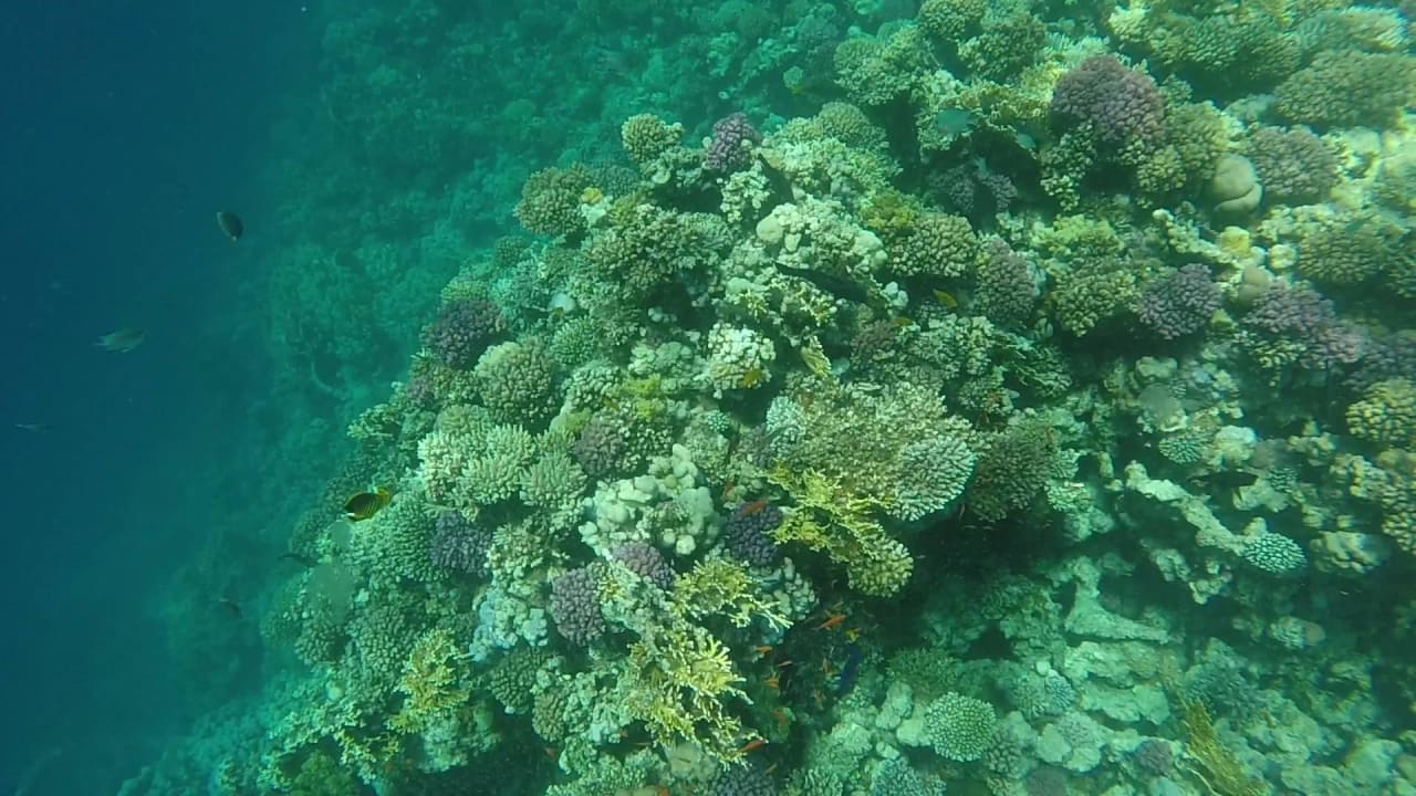 Auf dem Weg vom Steg zum Spa Makadi Spa - Adults only