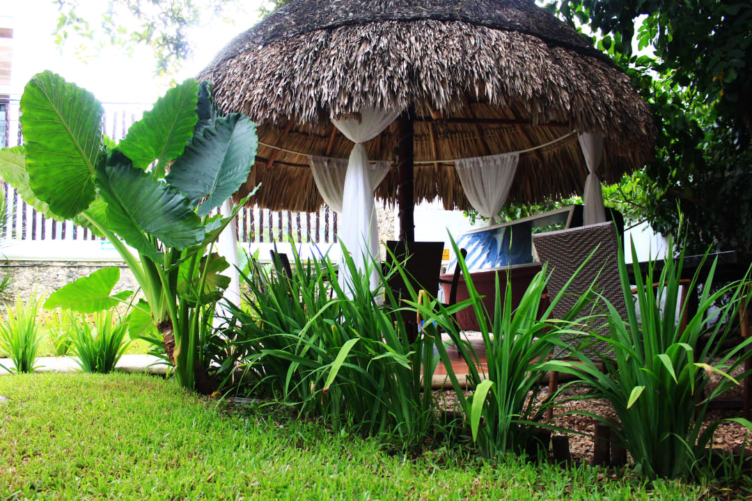 Gartenanlage Hotel Maya del Carmen