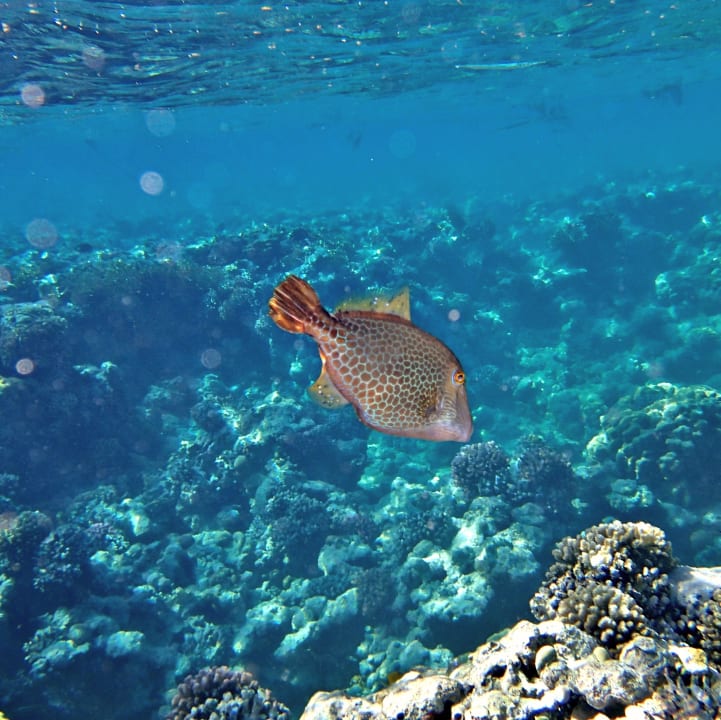 Sport & Freizeit Grand Makadi