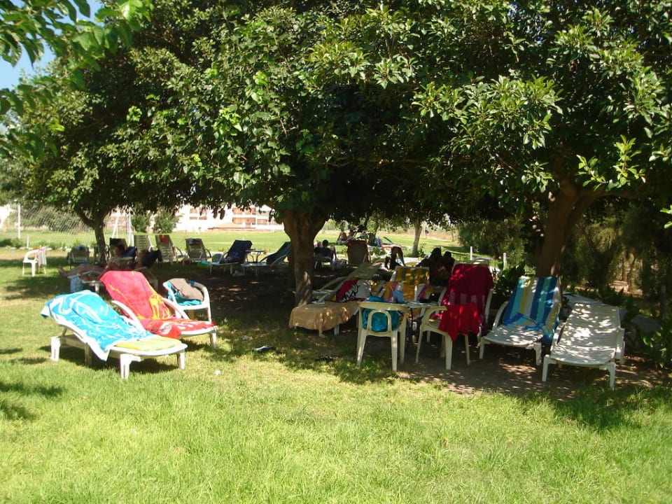 Liegewiese im Garten Irene Palace Beach Resort Club alltoura