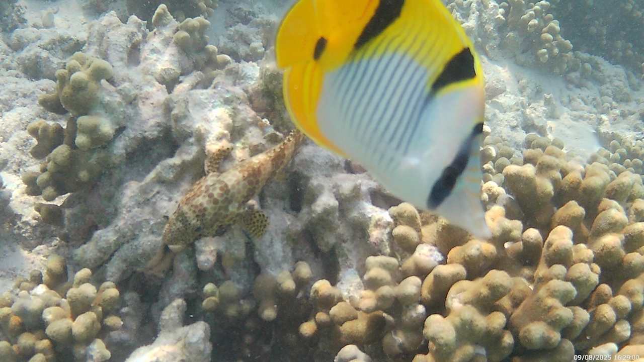 Sonstiges Adaaran Select Hudhuran Fushi - Premium All Inclusive