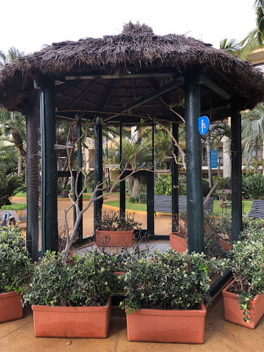 Gartenanlage Hotel Porto Mare - PortoBay