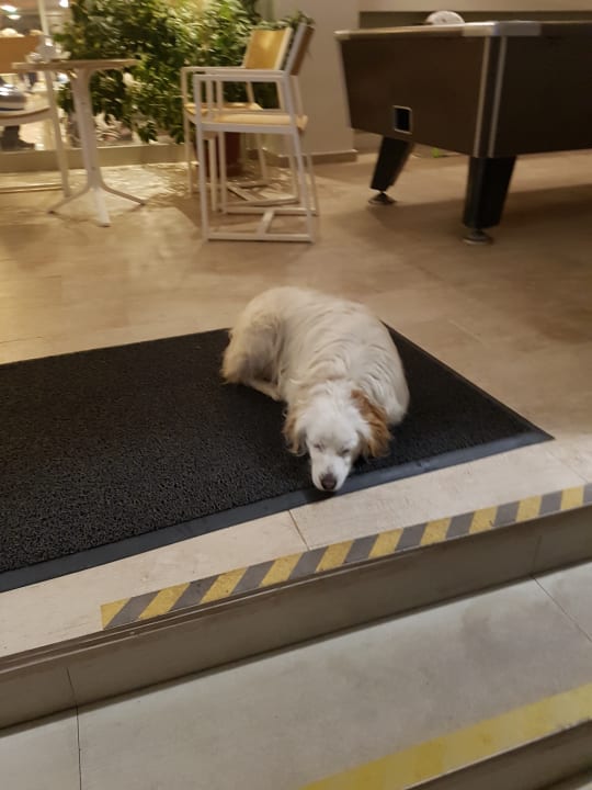 Sonstiges Elea Beach Hotel