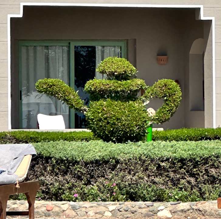 Gartenanlage Sentido Akassia Beach