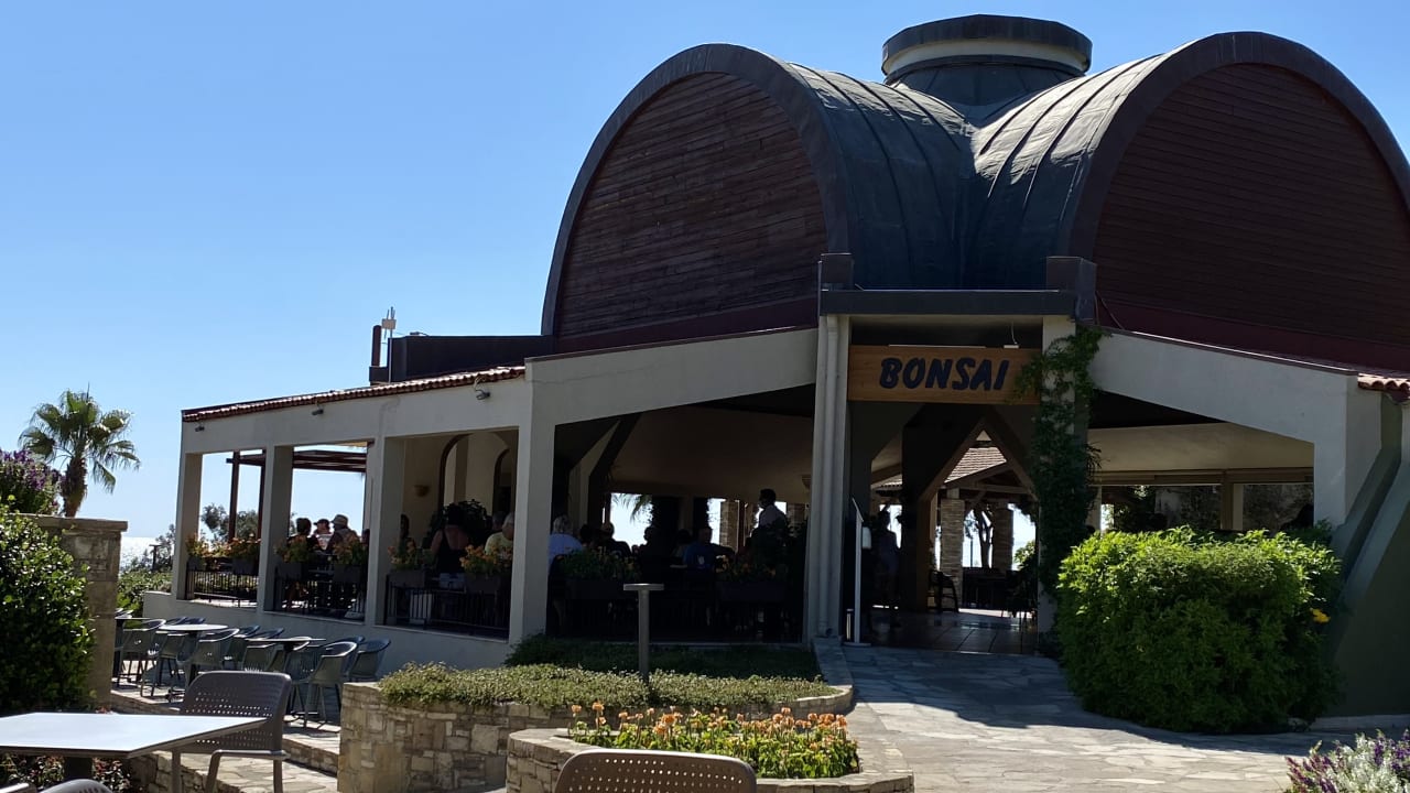 Gastro Arum Barut Collection