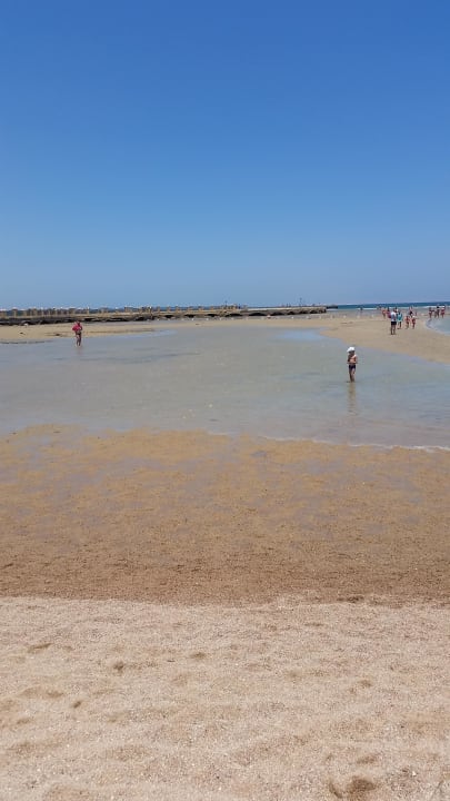 Strand Pickalbatros Dana Beach Resort - Hurghada