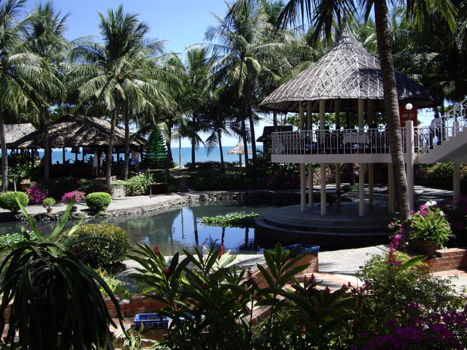 Karpfenteich Saigon Mui Ne Resort
