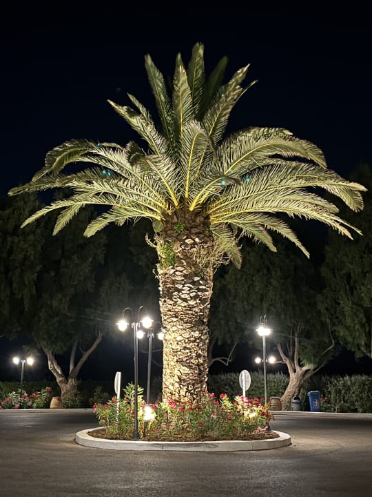 Gartenanlage Lagas Aegean Village