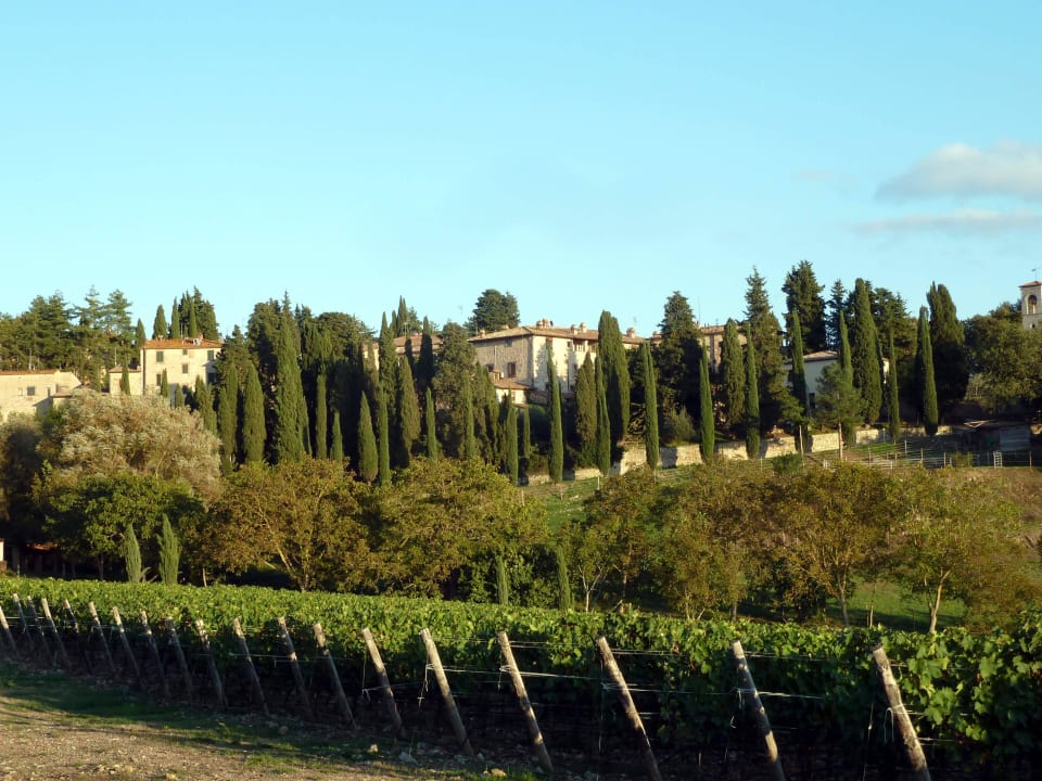 Blick auf Fonterutoli vom Weinberg aus Hotel Locanda di Fonterutoli