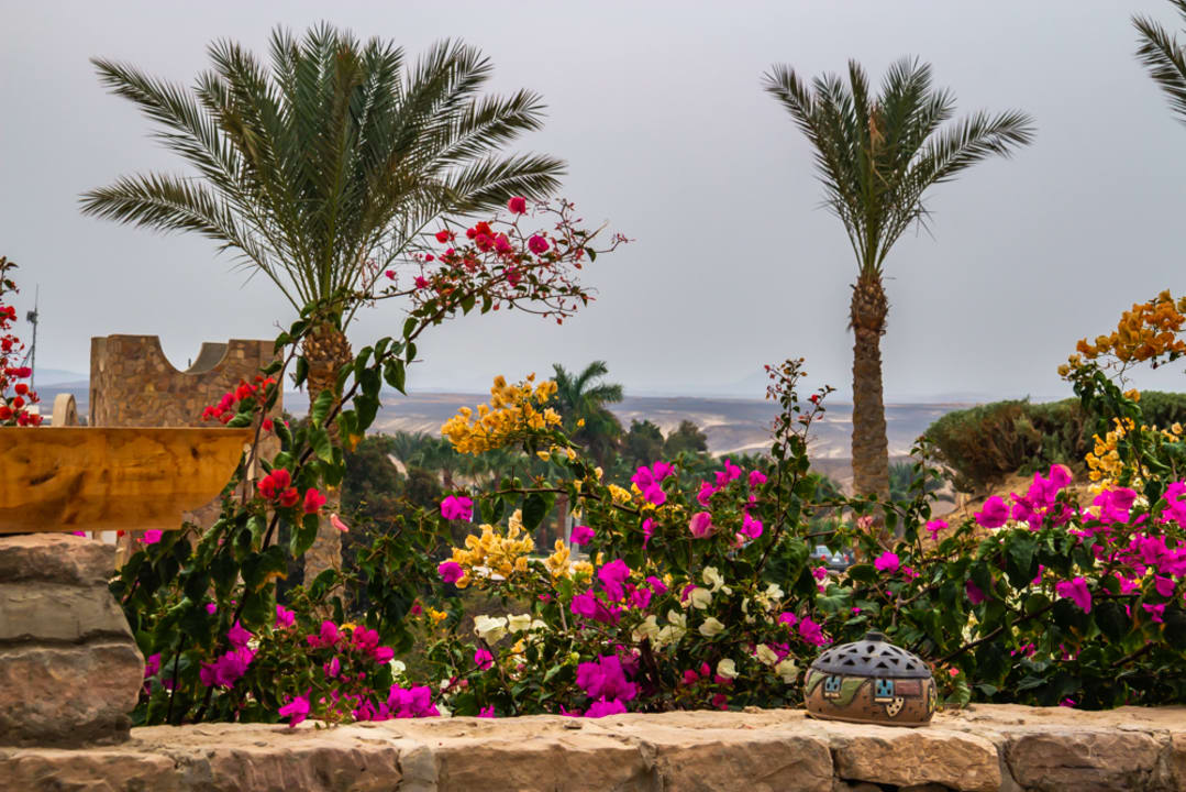 Ausblick Brayka Bay Resort