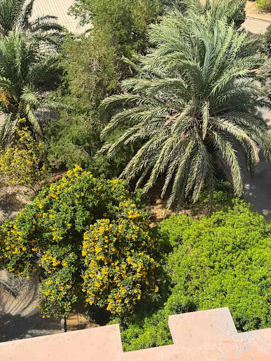 Ausblick Sultan Bey Hotel, El Gouna