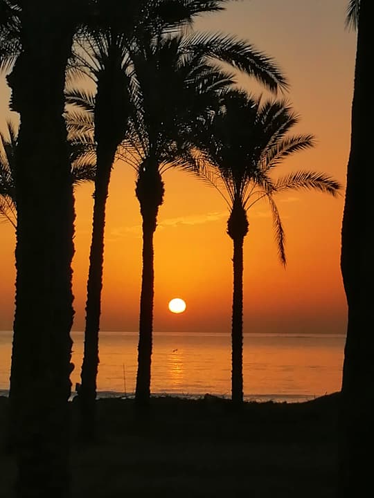 Strand Hotel Riu Nautilus - Adults only