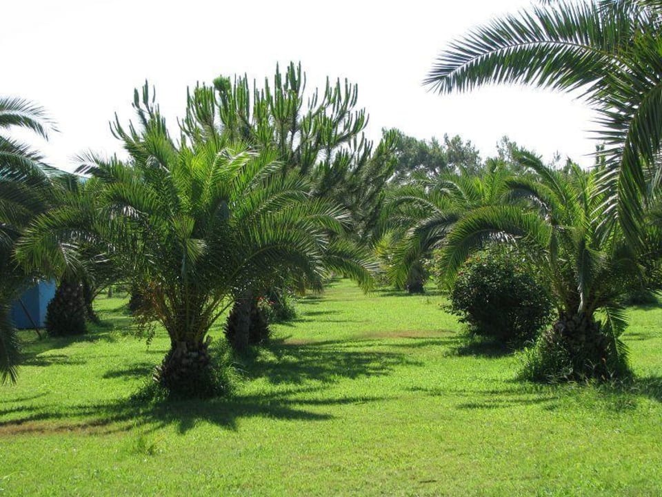 Hotelanlage Ali Bey Club