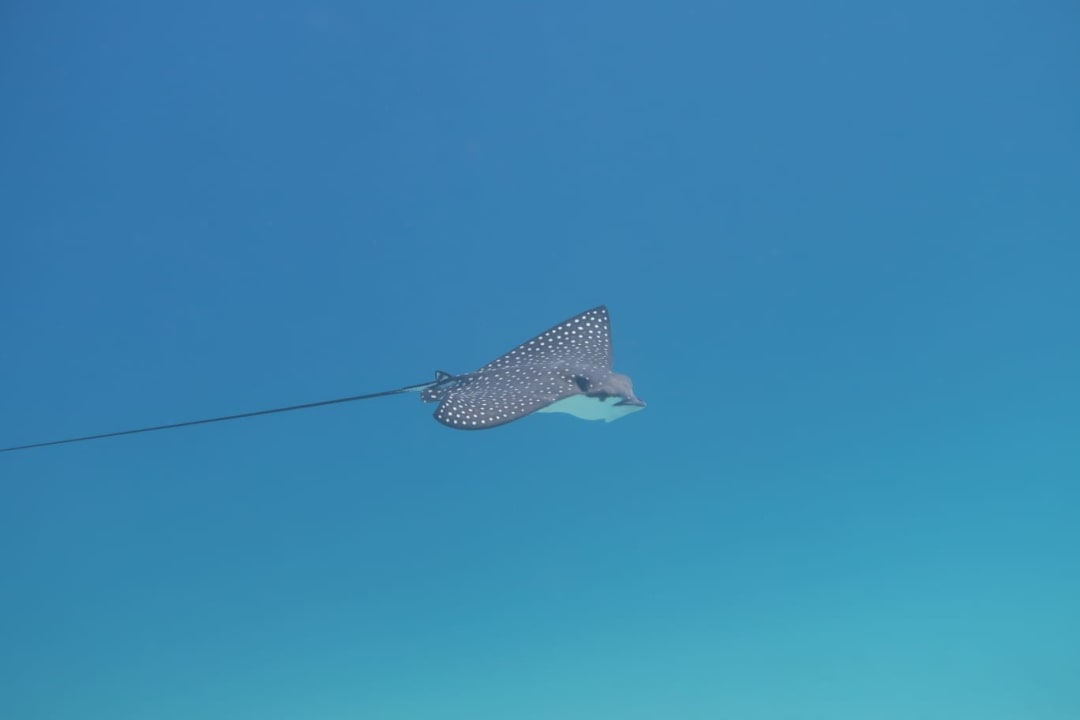 Sport & Freizeit Mövenpick Resort El Quseir