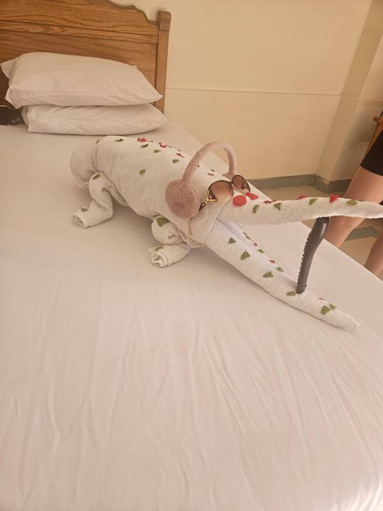 Zimmer Regina Resort and Aqua Park Hurghada