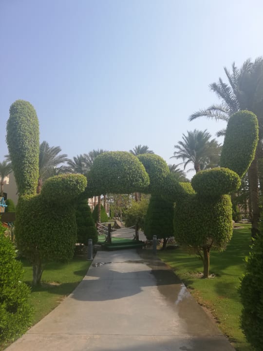 Gartenanlage Jaz Makadina