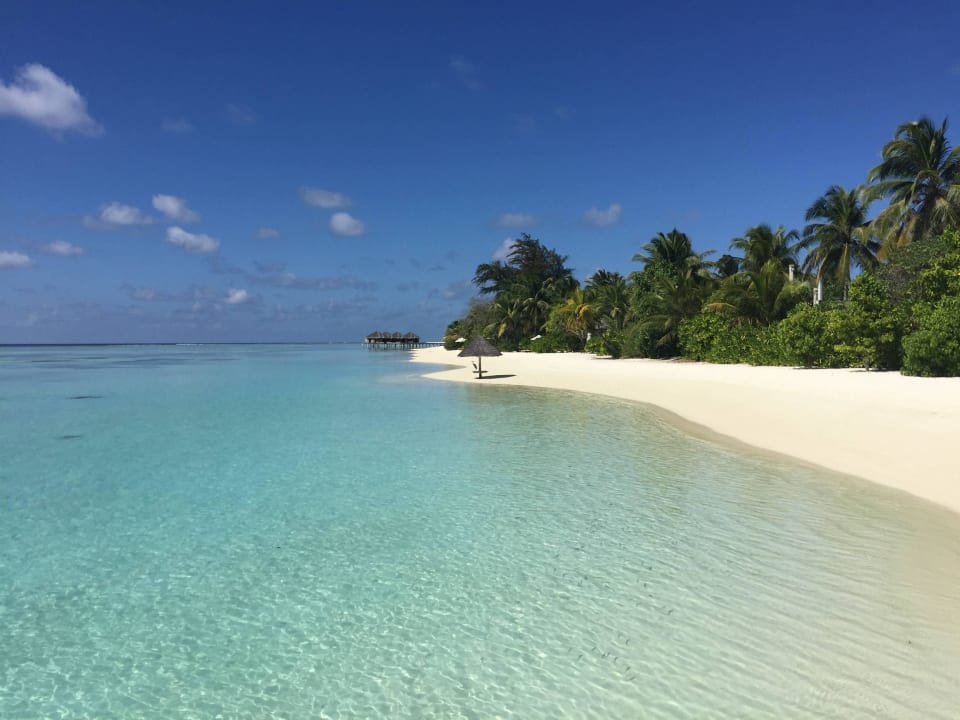Die idyllische Insel... LUX South Ari Atoll