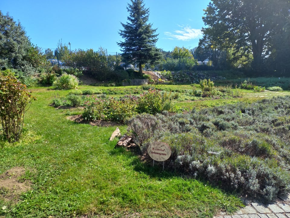 Gartenanlage Spirit & SPA Hotel Birkenhof am Elfenhain