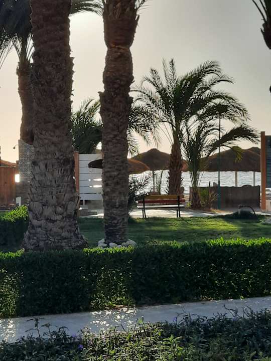 Pool Menaville Safaga