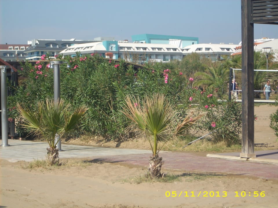 Strand Hane Family Resort