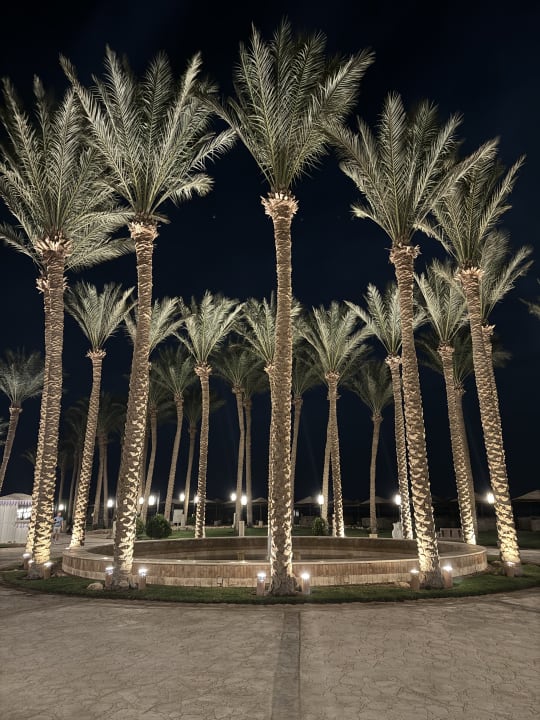 Gartenanlage Makadi Spa - Adults only