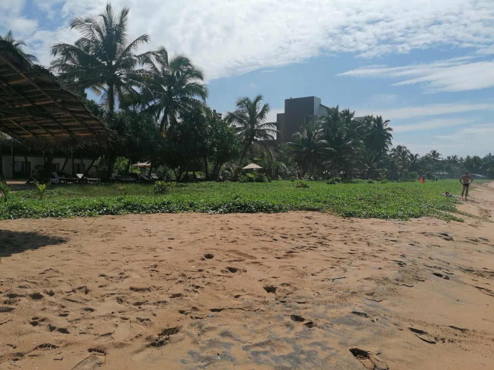 Außenansicht Pandanus Beach Resort & Spa