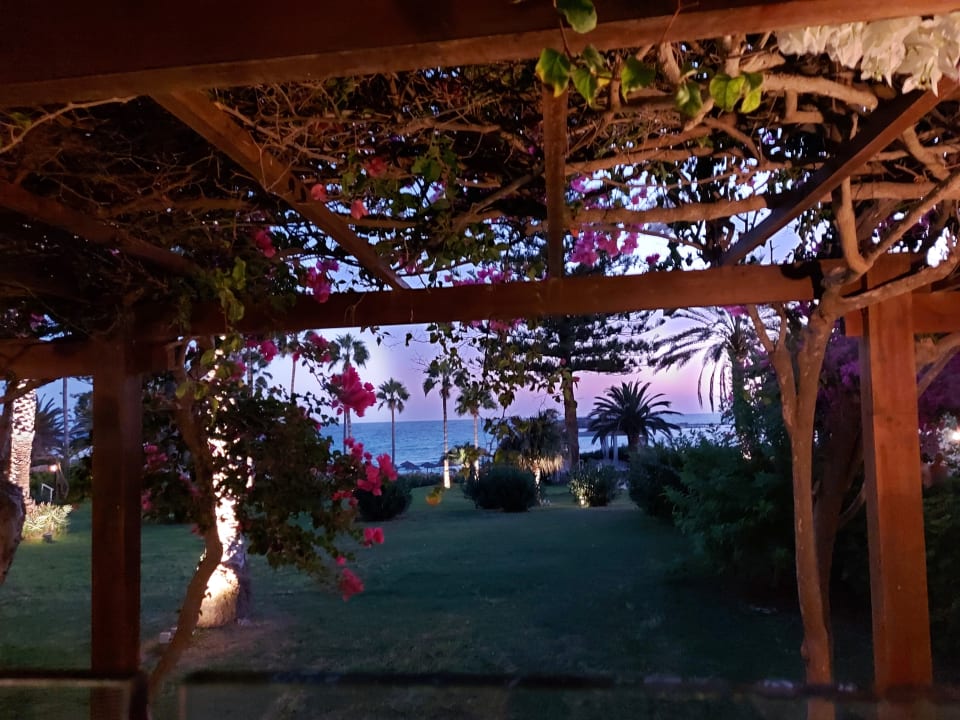 Ausblick Hotel Nissi Beach Resort