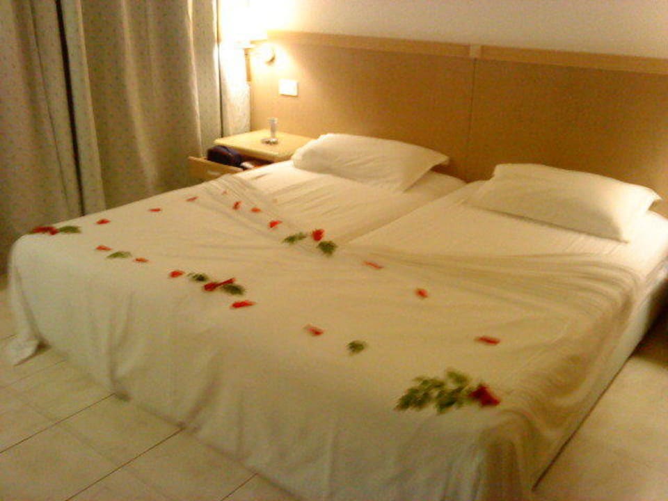 Viel zu schade um das Bett zu benützen Hotel El Mouradi Djerba Menzel