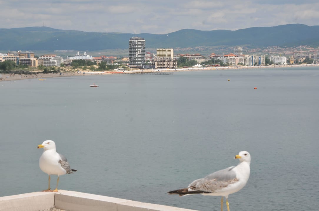 Hotel-Strand Burgas Beach Hotel