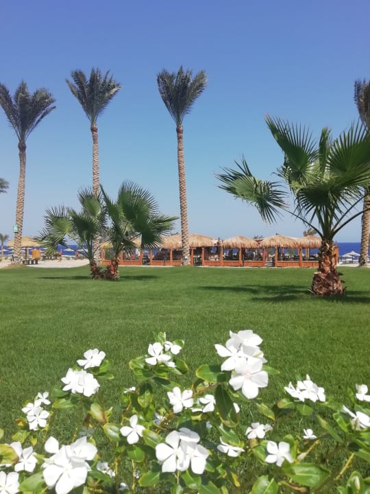 Garten Three Corners Sea Beach Resort