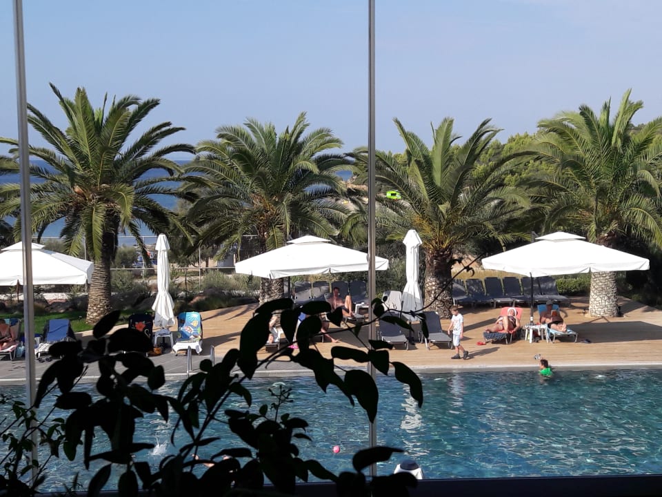 Ausblick Blue Dolphin Resort Hotel