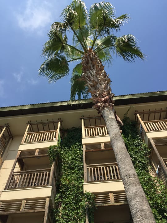 Außenansicht Can Garden Resort