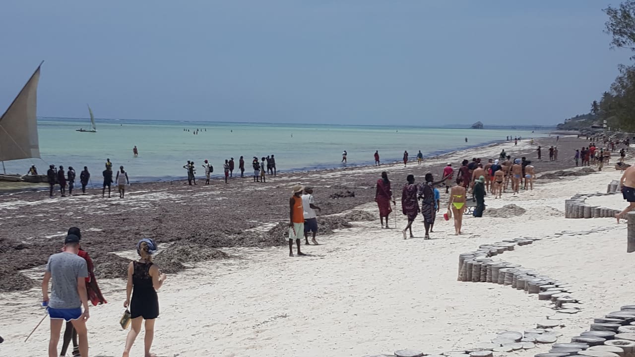 Strand TUI Blue Bahari Zanzibar